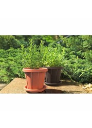 Cosmoplast Cedargrain Flower Pot With Tray Terracotta 12inch