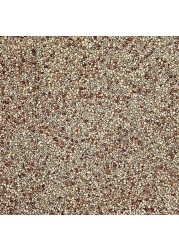 Egardenkart&reg; Daily Budget-Friendly Wild Bird Feed for All types of Wild Birds Small Birds Dove Pigeon Myna Lark Bulbul Sparrow Hoopoe Seed Mix (1)
