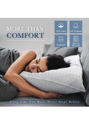 Comfy Set of 2 Hotel Quality Stripe Pillow - White