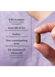 New Chapter Postnatal Vitamins Lactation Supplement Complete Multivitamin with Fermented Vitamin D3 B Vitamins Made with Organic Vegetables Herbs NonGMO Ingredients 96 Count