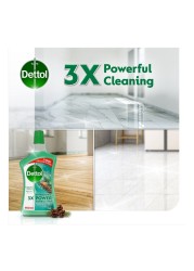 Dettol Antibacterial 3x Power Floor Cleaner Pine 900ml Pack of 2