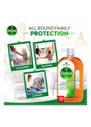 Dettol Anti-Bacterial Antiseptic Disinfectant 750ml