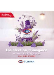 Clorox Scentiva Multi-Surface Cleaner Tuscan Lavender 500ml Pack of 2