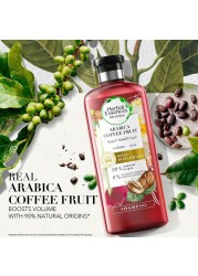 Herbal Essences Bio Renew Volume Arabica Coffee Fruit Shampoo 400ml