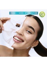 Garnier Skin Active Fast Clear Tissue Mask