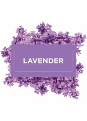 Mr. Muscle All Purpose Lavender Liquid Floor Cleaner 1L