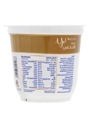 الروابي زبادي الأناناس مخفوق كامل الدسم 130 غرام