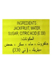 Teptip Jackfruit in Syrup, 565g