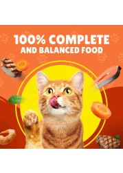 Purina Friskies Pate with Beef and Vegetables in Chunk Wet Cat Food, 400g