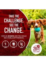 Purina ONE Chicken &amp; Rice Formula, Dog Food, 1.36kg