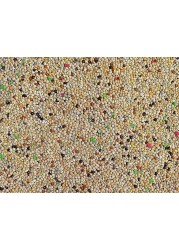 Egardenkart® Bird Food Small bird Budgie finches canaries hookbills doves quail and sparrows Seed mix (1kg, Budgie)