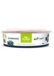 Blueberries Premium 250g
