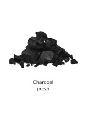 L&#39;Oreal Paris Detoxify Pure Clay Mask With Charcoal Grey 50ml