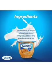 Danette Dessert Cookie Flavour 90g