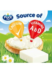 Puck Cream Cheese Squares, 108g