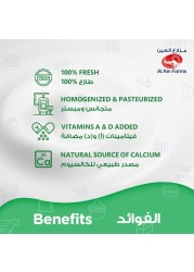 Al Ain Full Cream Fresh yoghurt 1kg