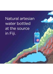 Fiji Natural Mineral Water 1L