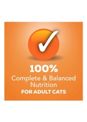Purina Friskies Mixed Grill Wet Cat Food Pate, 156g