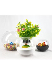Glass Aquarium Bowl 6-Inch with Integrated Decorative Plant Holder with Lid (Large)