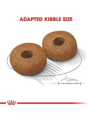 Royal Canin SHN Medium Ageing 10+ 3 kg Size Health Nutrition Dog Food,, Ageing 10+ Dog dry food