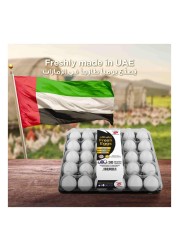 Al Ain Farms Fresh Medium White Eggs 30 PCS