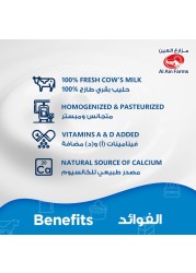 العين حليب طازج كامل الدسم 1 لتر