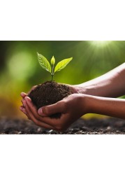 ell24 Bio Tech Potting Soil-6 kg (20L) Superior Growing Medium with Bioactive Components for Robust Plant Growth