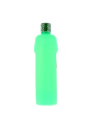 Green Cross Isopropyl Alcohol Anti-Septic Disinfectant Green 500ml