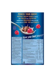 Weetabix Chocolate Flavour Protein Crunch Cereal, 450g