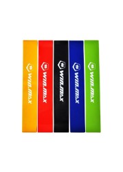 مجموعة أحزمة اللياقة البدنية Winmax - أحزمة مقاومة ممتازة بمقابض ومرساة باب وحقيبة حمل، و5 مستويات توتر قابلة للتعديل لصالة الألعاب الرياضية المنزلية وتمارين الجسم بالكامل