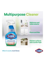 Clorox Multipurpose Spray Cleaner 750ml