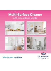Clorox Scentiva Multi Surface Spray Cleaner Japanese Spring Blossom 500ml