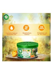Air Wick Exotic Citrus Essential Oil Scented Gel Green 70g
