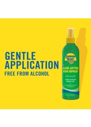 Banana BoatAloe After Sun Spray 6oz Aloe Vera Spray with Cucumber Extract and Vitamin E After Sun Care After Sun Aloe Aloe Spray for Sunburn Relief 6oz