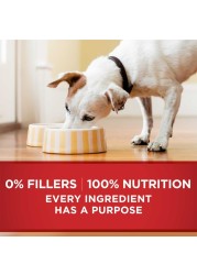 Purina ONE Classic Ground Chicken &amp; Brown Rice Entr&eacute;e, Dog Food, 368g