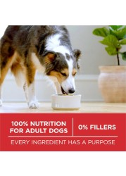 Purina ONE Chicken &amp; Rice Formula, Dog Food, 1.36kg
