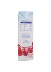 Ocean Spray Cranberry Classic Light Juice 1L