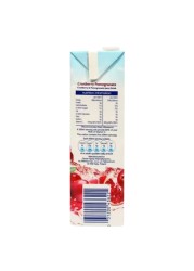 Ocean Spray Cranberry Pomegranate Juice 1L