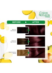 Garnier Colour Naturals Cream Nourishing Permanent Hair Colour 4.6 Burgundy 110ml