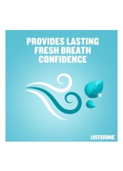 Listerine Cool Mint Milder Taste Mouthwash 500ml