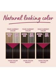 Palette Intensive Color Creme 3-0 Dark Brown