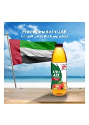Al Ain Apple Juice 1L