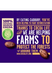 Cadbury Miniatures Gifting Collection Chocolate Box, 400g