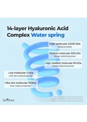 ISNTREE Ultra-Low Molecular Hyaluronic Acid Toner 300ml 10.14 fl.oz| Quick Absorbing Hyaluronic Acid Toner | Deeply hydrates and smoothens The Skin