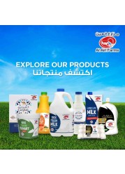 Al Ain Full Cream Fresh yoghurt 1kg