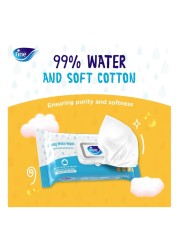 Fine Instant Dry Diaper Pants Large Size 4 9-15kg 44 Pants and Baby Water Wipes 72 Wipes