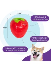 Outward Hound Foodies Carrot Strawberry TreatDispensing Dog Chew Toy Pink