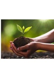 Vsell24 Bio Tech Potting Soil With Micro Nutirients For Indoor And AC Rooms Soil For Home Gardens Made In UAE 10L(3Kg)