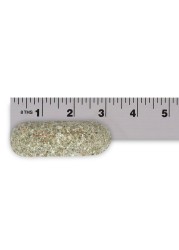 Jobes Organics Garden Fertilizer Spikes Easy Plant Care Fertilizer for Fruit and Citrus Plants and Trees 6 Count