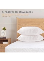 Hotel Linen Klub Pack of 2 Quilted Pillow Queen (50 x75cm) - Outer Cover: 90GSM Microfiber Supersoft Fabric, Filling: 650grams Soft Fiber, Diamond Quilt Pattern